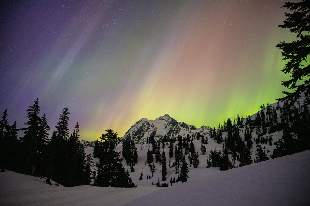 Green and purple aurora over snowy peaks and evergreens at Mt. Baker