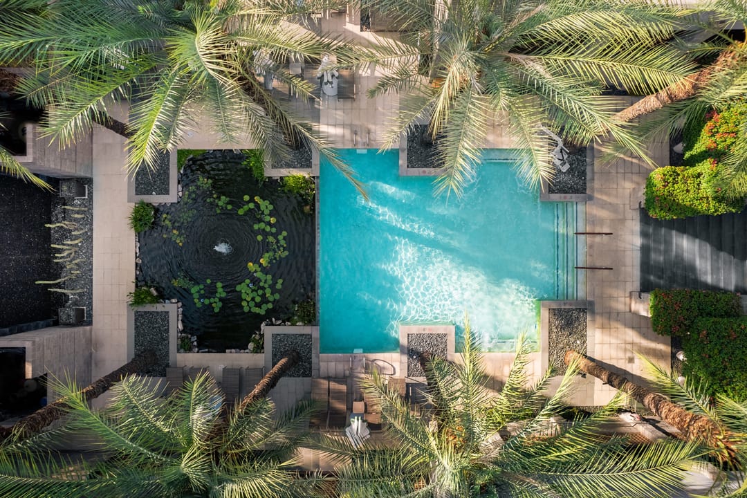 Piscina de Grand Hyatt Scottsdale enmarcada por palmeras, vista desde arriba